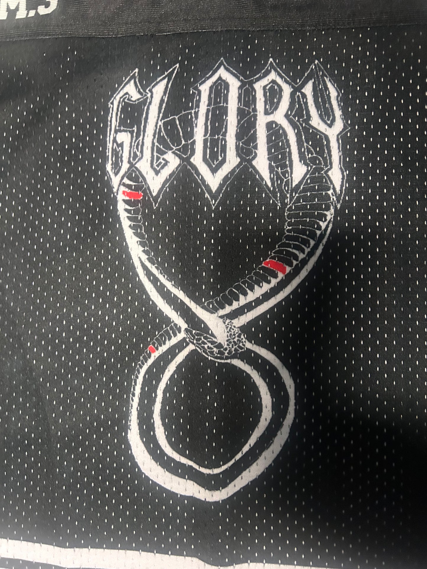 STRONG TOGETHER “333” JERSEY